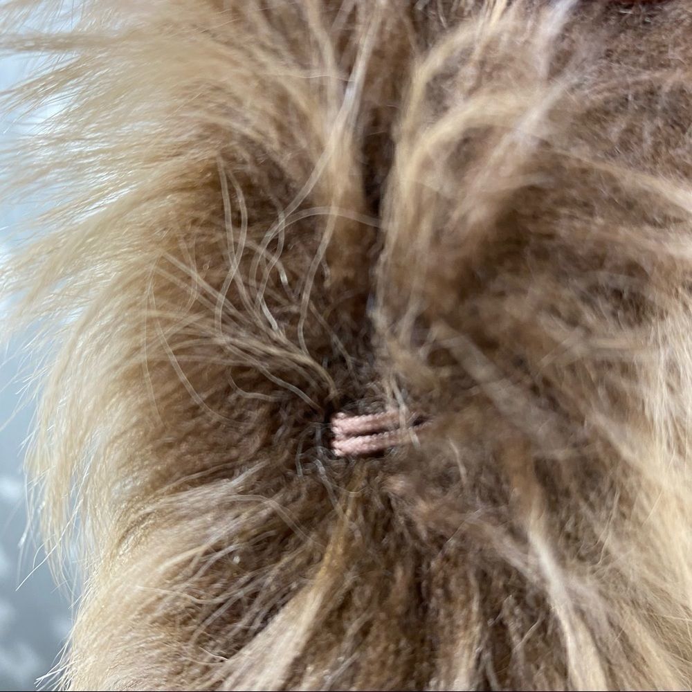 Ralph Lauren Fall/Winter '11 Blonde Lamb Shearling Vest - Picture 5 of 16